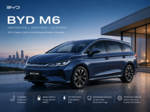 byd m6